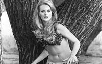 Celeste Yarnall in a bikini