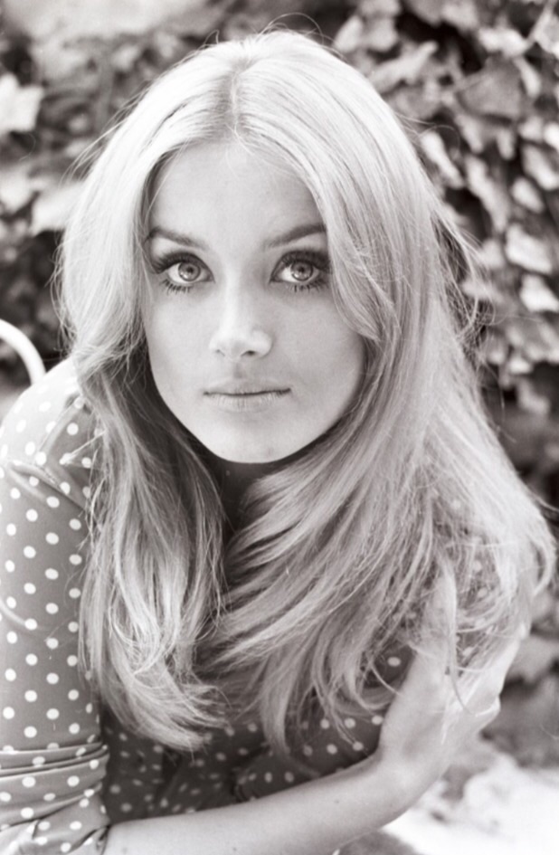 Barbara Bouchet wikipedia