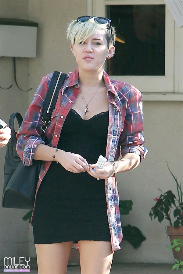 Miley Cyrus voting in LA 11/6/12