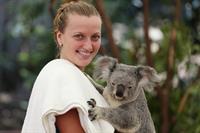 Petra Kvitova Holds a Koala during a visit to the Lone Pine Koala Sanctuary December 28, 2012 