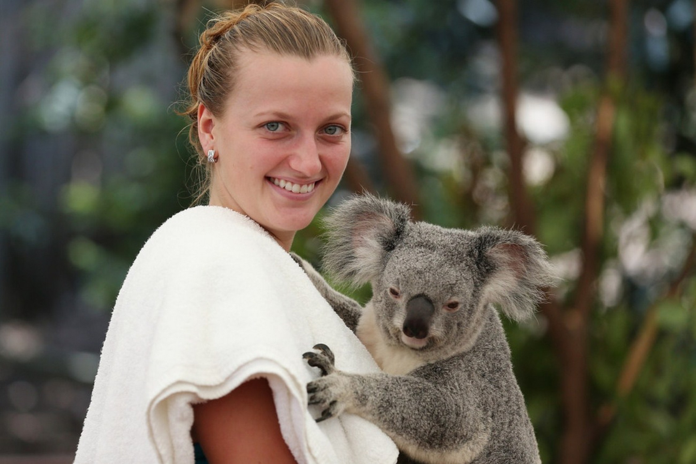 Petra Kvitova Holds a Koala during a visit to the Lone Pine Koala Sanctuary December 28, 2012 