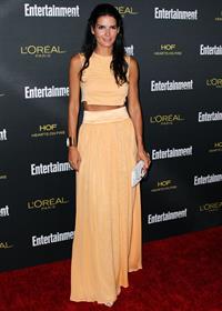 Angie Harmon at the 2014 Entertainment Weekly Pre-Emmy Party  August 23, 2014