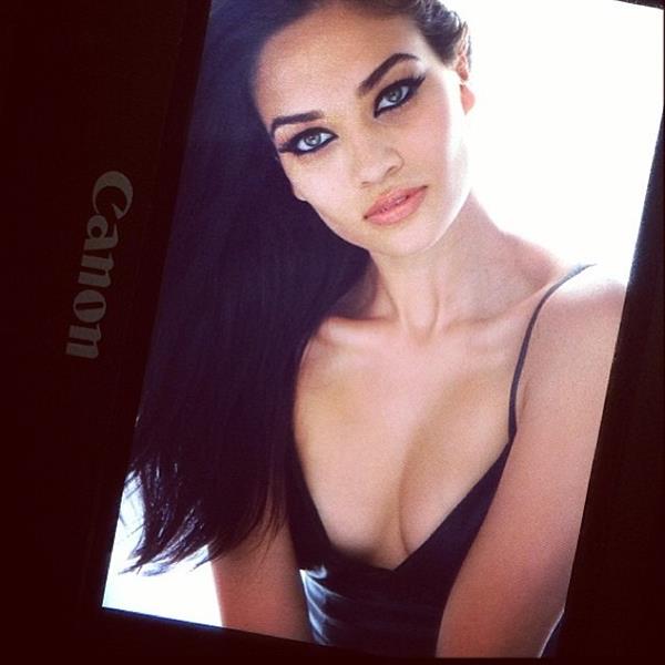 Shanina Shaik