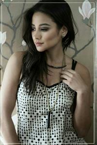 Shay Mitchell