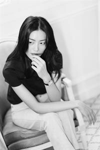 Liu Wen