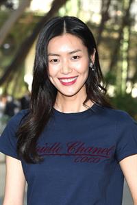 Liu Wen