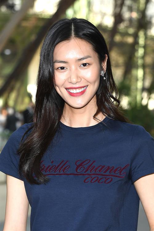 Liu Wen
