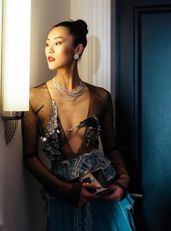 Liu Wen