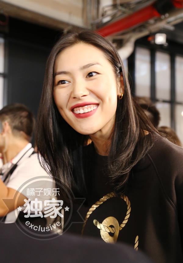 Liu Wen