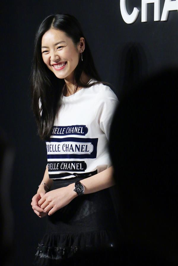 Liu Wen