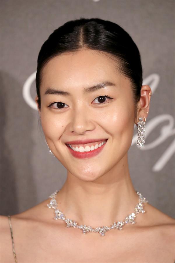 Liu Wen