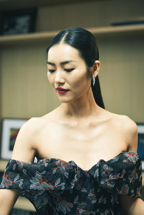 Liu Wen