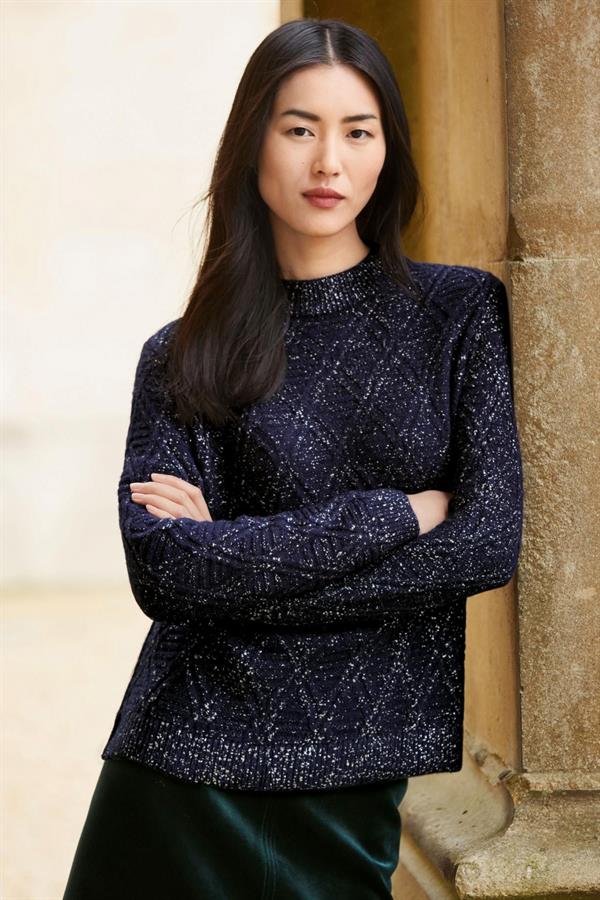 Liu Wen