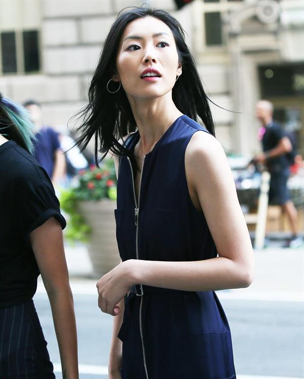 Liu Wen