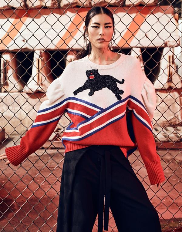 Liu Wen