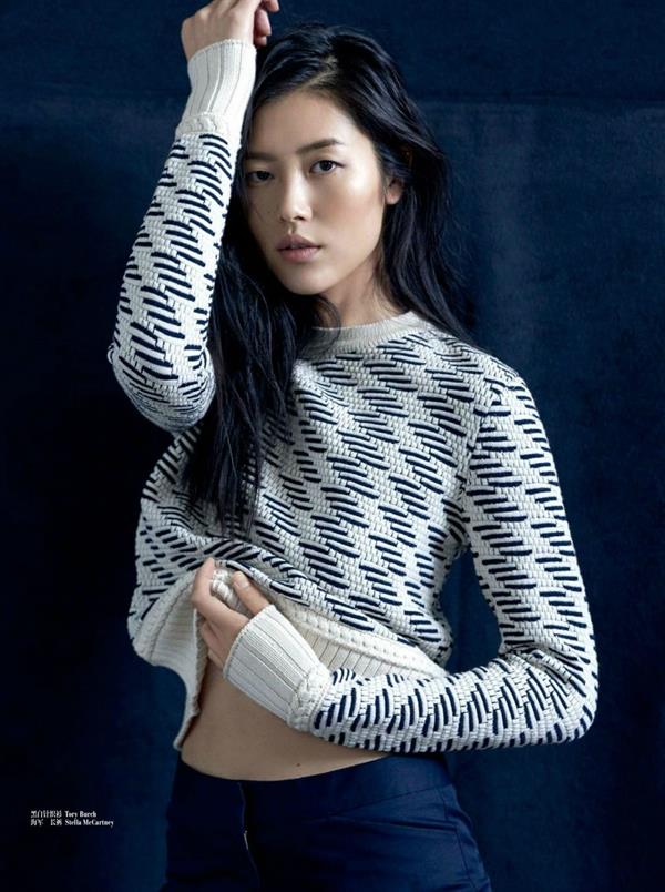 Liu Wen