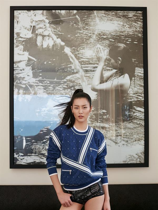 Liu Wen