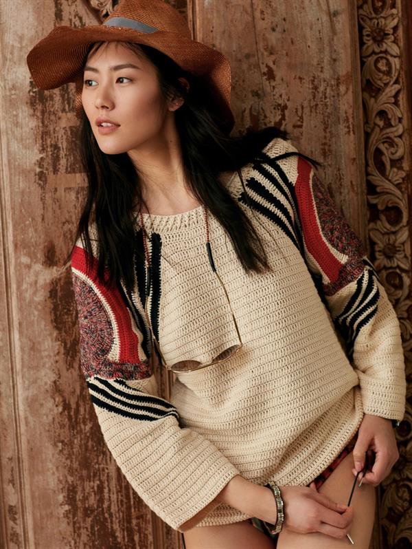 Liu Wen