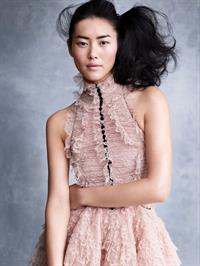 Liu Wen