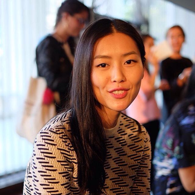 Liu Wen