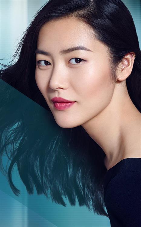 Liu Wen