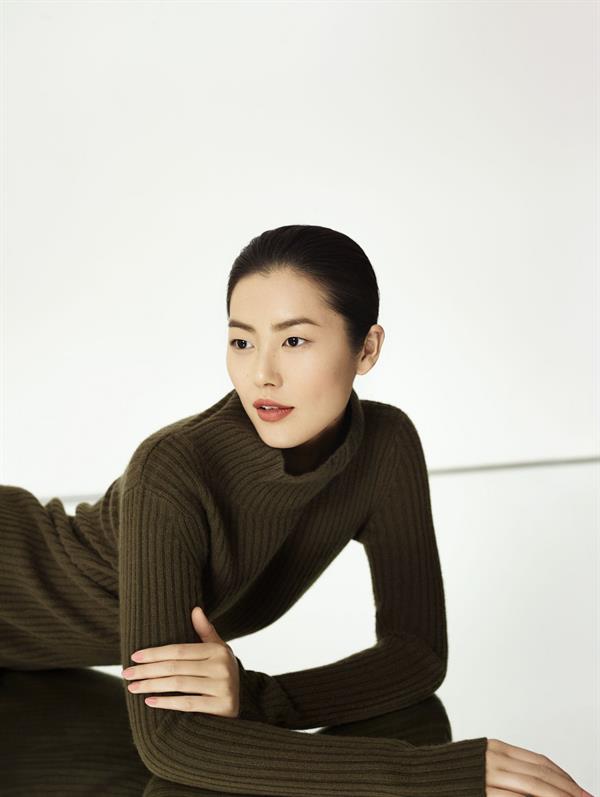 Liu Wen