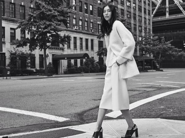 Liu Wen