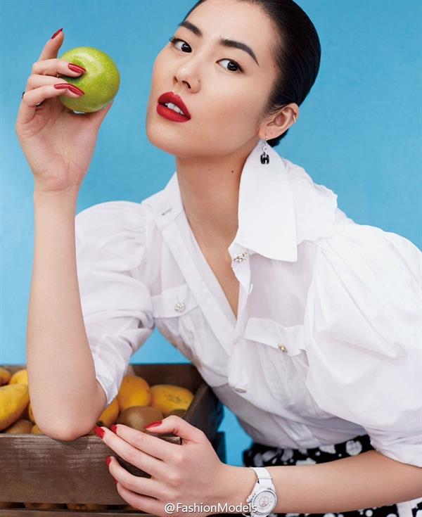 Liu Wen