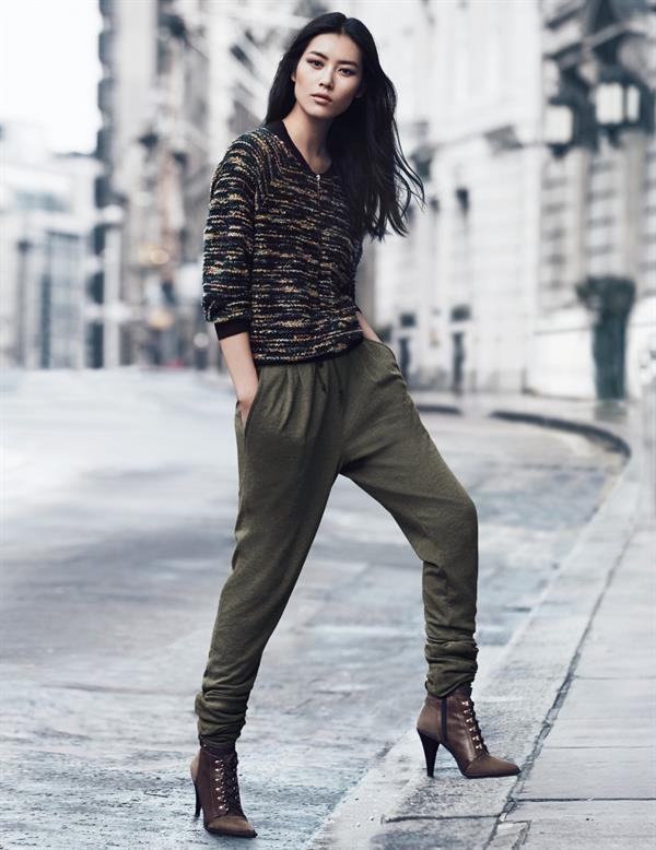 Liu Wen