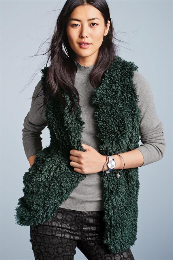 Liu Wen