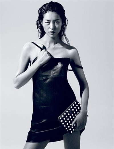Liu Wen