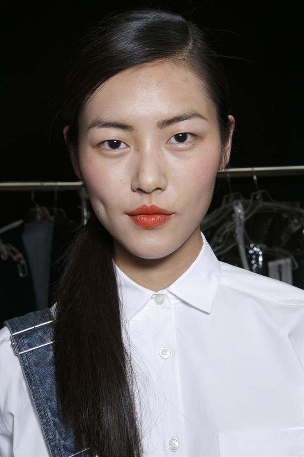 Liu Wen