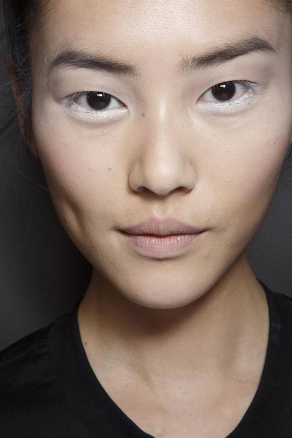 Liu Wen