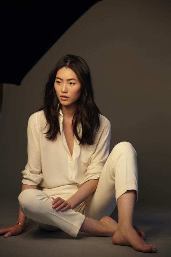 Liu Wen