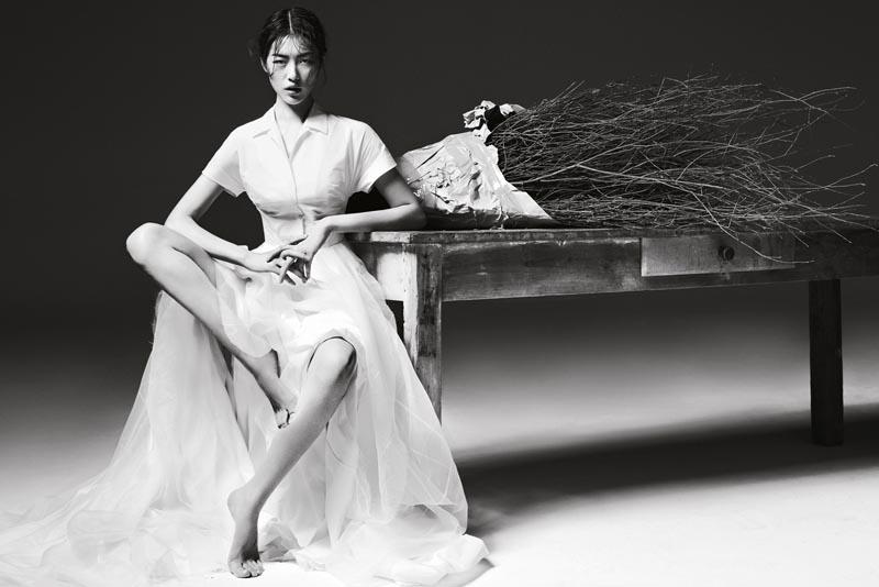 Liu Wen