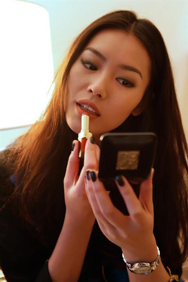 Liu Wen