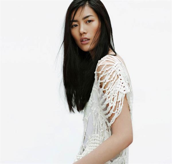 Liu Wen