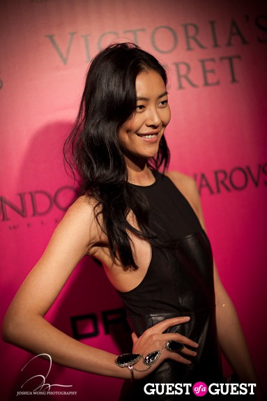 Liu Wen