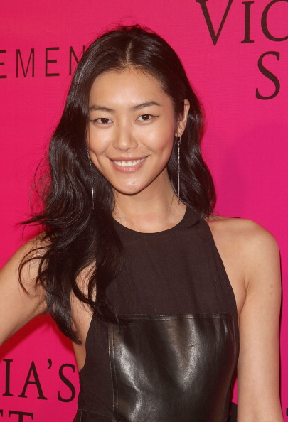 Liu Wen