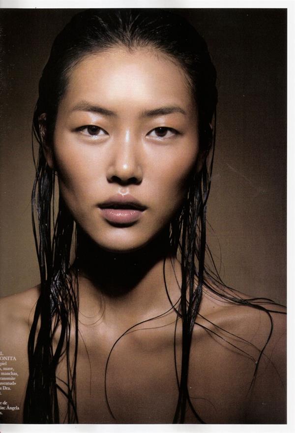 Liu Wen