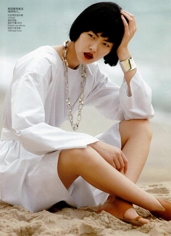 Liu Wen
