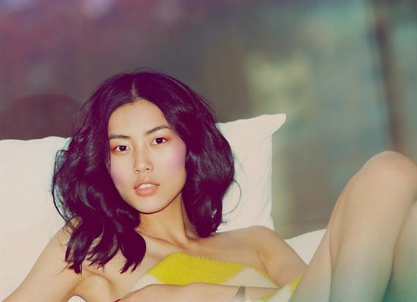 Liu Wen