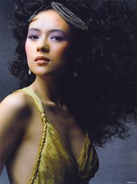 Zhang Ziyi