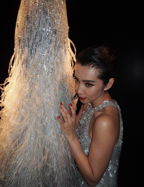 Li Bingbing