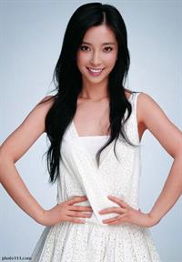 Li Bingbing