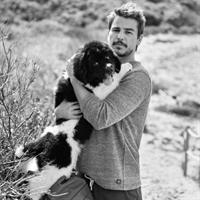 Josh Hartnett
