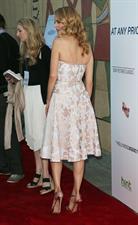 Heather Graham attending the  At Any Price  Los Angeles Premiere in Hollywood, April 16, 2013 