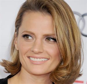 Stana Katic  Saving Mr. Banks  Premiere at AFI FEST 2013 - Hollywood, Nov. 7, 2013 