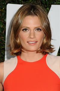 Stana Katic  Mandela: Long Walk To Freedom  Los Angeles Premiere - Hollywood, Nov. 11, 2013 