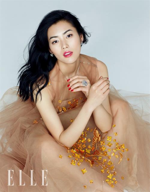Liu Wen